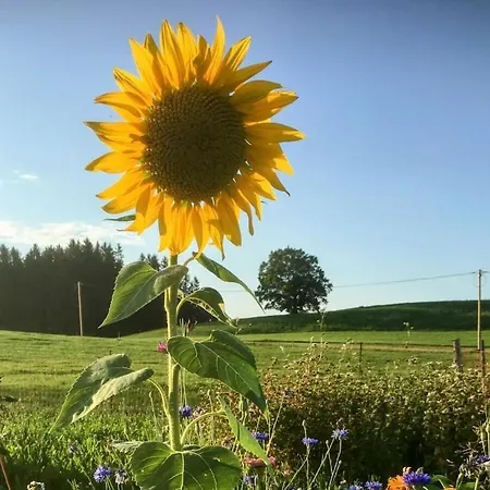 Prázdninový dům Village View Gerberhof *